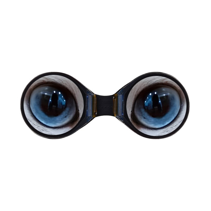 0.71inch Double Eye Round IPS LCD Display Module 160×160 SPI Interface 65K Color