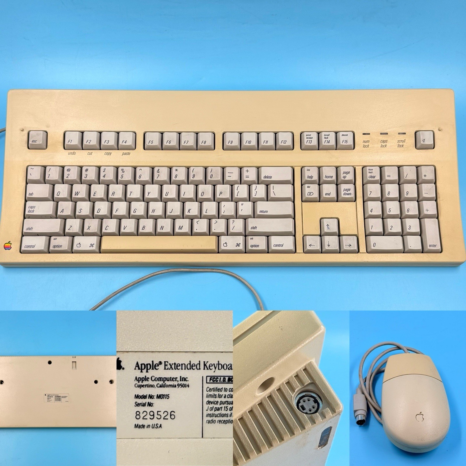 Vintage Apple Macintosh Extended Family Keyboard M0115 With Mouse