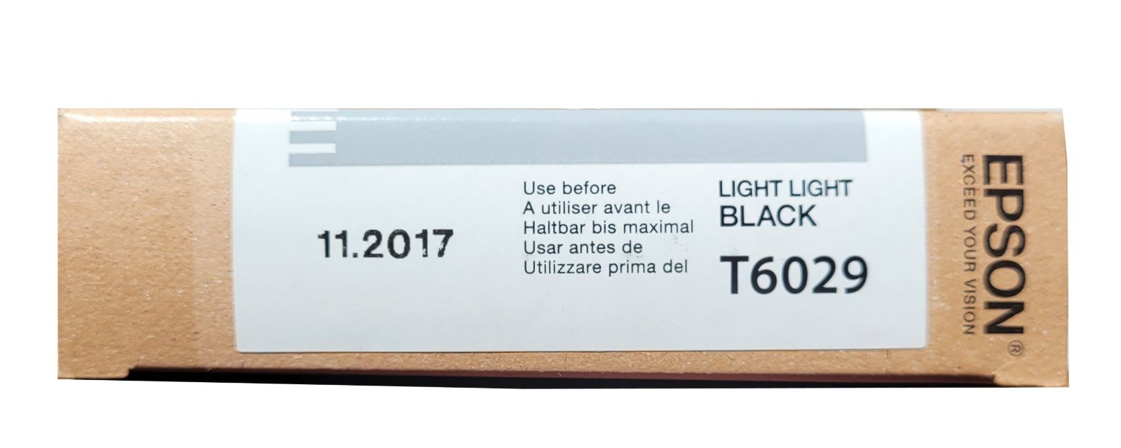 Epson T6029 Light Light Black UltraChrome K3 Ink Cartridge (110ml) (11/2017)