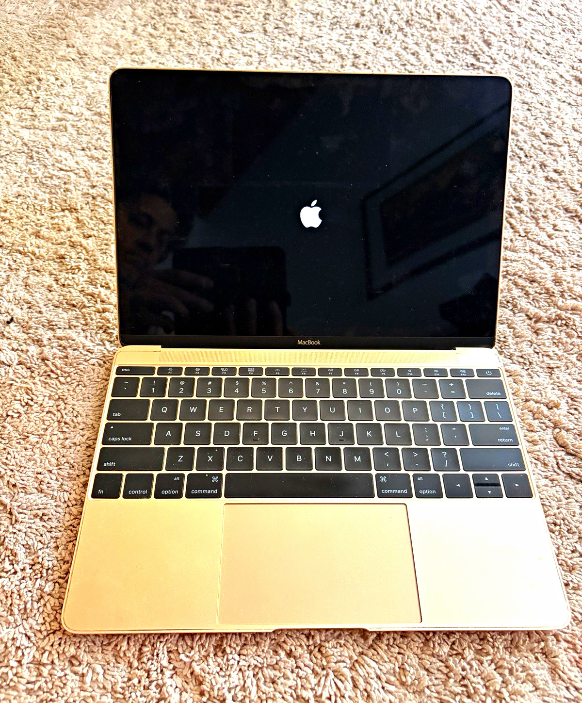 Apple MacBook 12" Intel Core m3 8GB RAM 256GB SSD 2017 Gold A1534