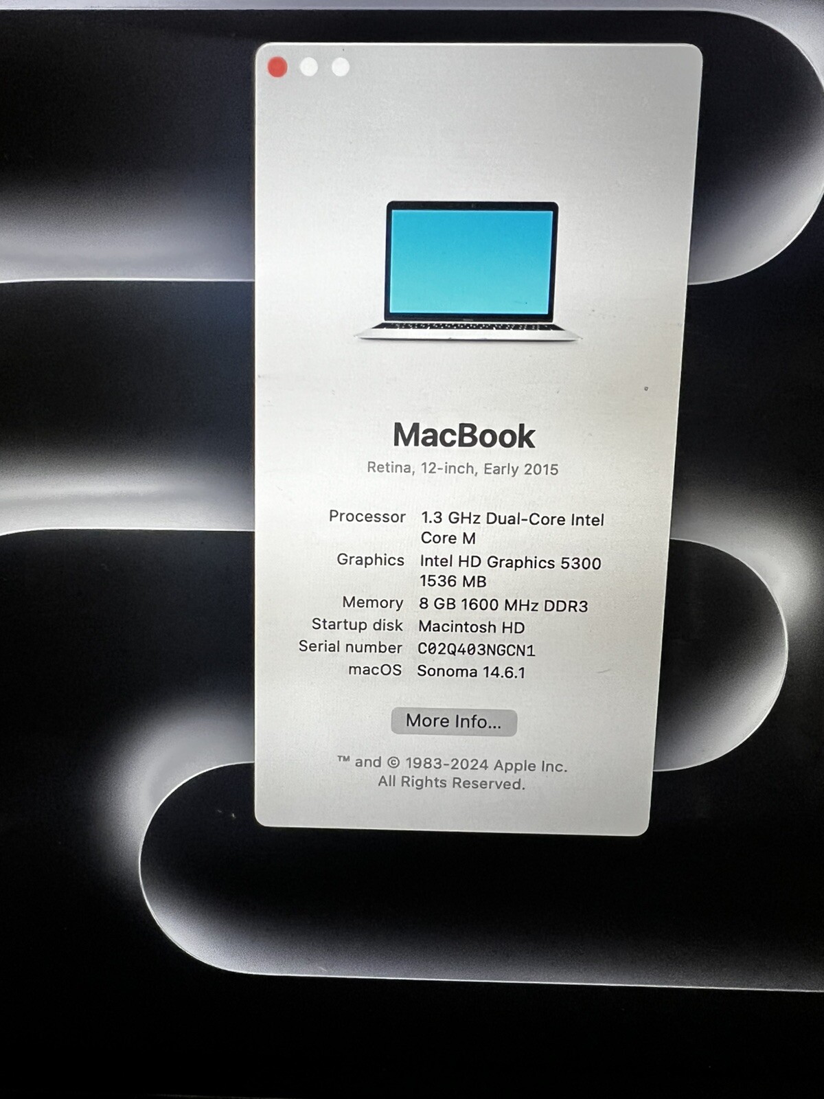 Apple MacBook MJY32LL/A ( 256 GB SSD, Intel Core M-5Y31, 1.3 GHz, 8 GB) Laptop