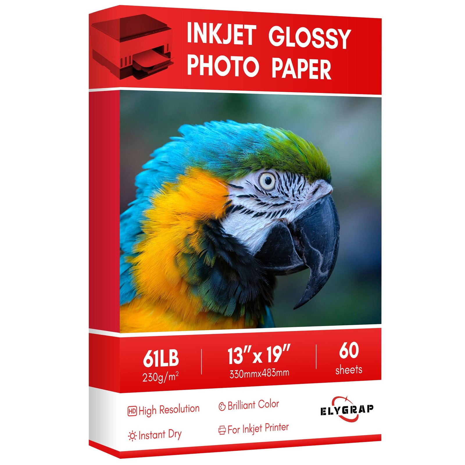 60 PCS 13x19 Inch Glossy Inkjet Photo Paper 61LB Professional Printer Dye Ink