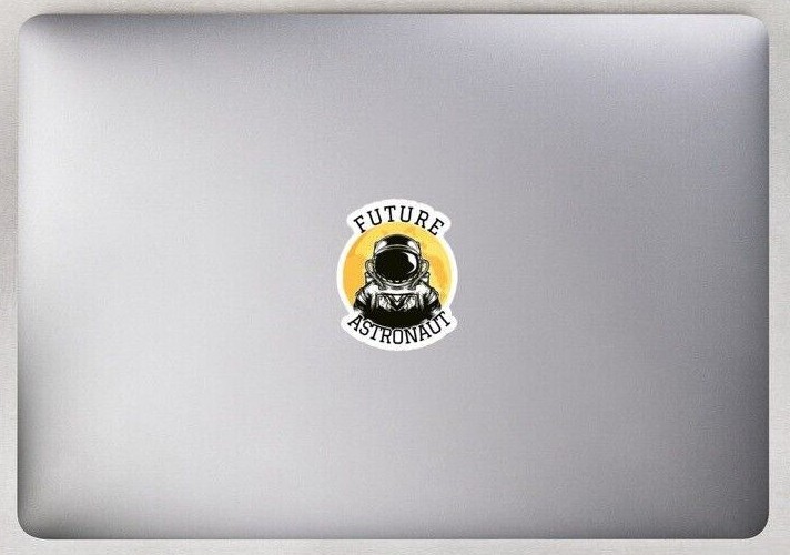 FUTURE ASTRONAUT / space force / laptop decal / computer sticker / outer space