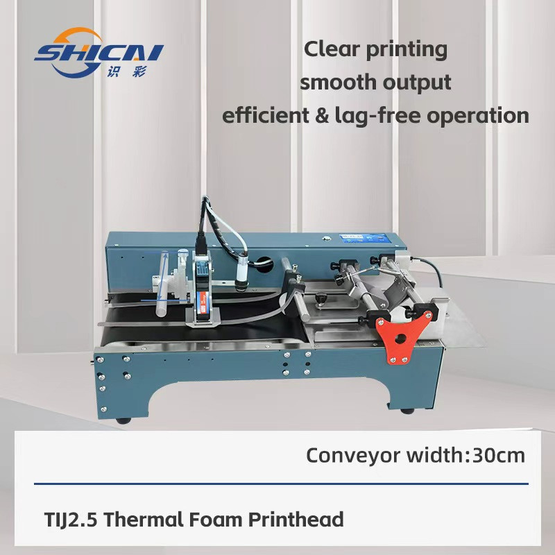 Automatic Paging Inkjet Coding System for  Mask Bag Carton Label Variable Data