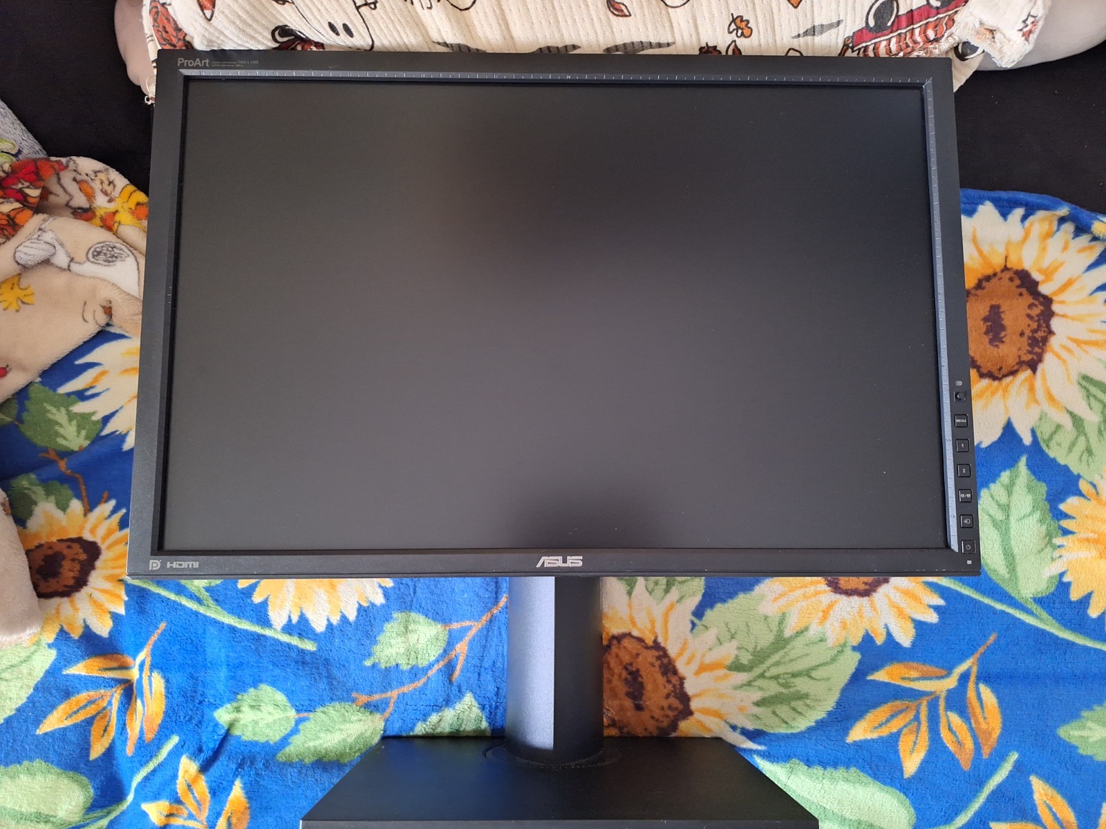 ASUS PA248 PRO ART 1900X1200 24 Inch 16:10  Professional Monitor TESTED