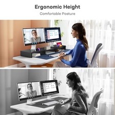 LORYERGO DUAL MONITOR STAND FOR DESK, MONITOR STAND WITH 2 SLOTS FOR -  VINTAGE picture
