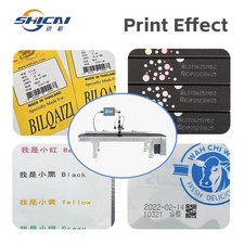 Inline Inkjet Printer 12.7mm Expiry Batch for Flat Surfaces Without Conveyor picture