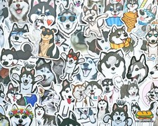 50 pcs 