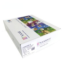 1003 GS6C printhead picture