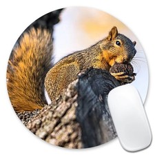 Cute Squirrel Eating Nuts Round Mouse Pad Non Slip Office Desk Computer Mat picture