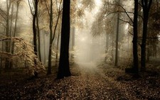 Landscape nature r forest mist trees path leaves beige Custom Gaming Mat Desk picture