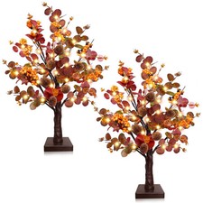 TURNMEON Fall Decor 2 Pack 18 Inch Tabletop Prelit Fall picture