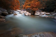Landscape river creeks fall red leaves rocks Custom Gaming Mat Desk picture