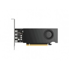 PNY NVIDIA RTX™ 2000E Ada Generation Professional Graphics Board picture
