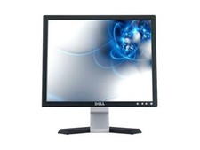 Dell LED Monitor 17