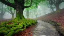 Landscape nature mist trees moss river fall water long Custom Gaming Mat Desk picture