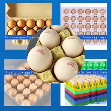 Automatic Egg Inkjet Printer - Fully Auto Date Coder for Poultry Farm picture