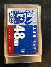 Viking 48MB PCMCIA ATA Flash Card picture