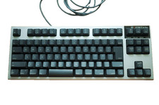 Topre REALFORCE R2 Tenkeyless PFU Limited Edition For MAC Japanese Layout Tested picture