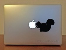 Squirrel - Laptop Decal Bumper Sticker Window Decal Pet Love Cute Animal picture