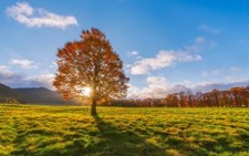 Landscape nature fall sunlight Custom Gaming Mat Desk picture