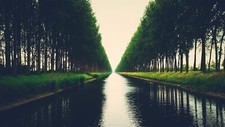 Landscape trees river nature Custom Gaming Mat Desk picture