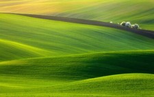 Landscape nature grass field Custom Gaming Mat Desk picture