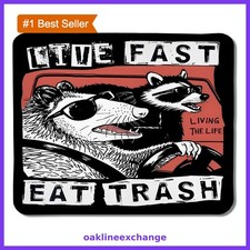 Foritho Color 06 Funny Raccoon Mouse Pad Meme Desk Mat picture