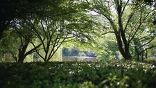 Landscape trees river nature depth of Custom Gaming Mat Desk picture