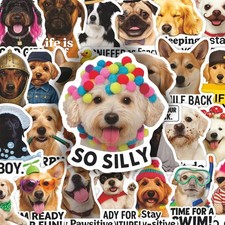 3 Random Adorable Funny Dog Themed Healing Stickers Colorful Decals Featuring picture