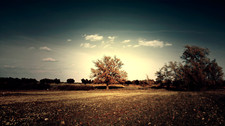 Landscape nature field trees sky Custom Gaming Mat Desk picture