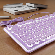 Wired Keyboard with White Backlit, Never Fade, Soft Click Typing, Purple picture