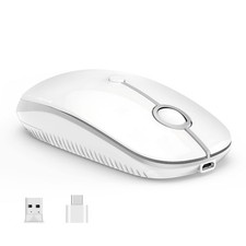 Type C Wireless Mouse, USB C MacBook Wireless Mouse, White Silver | Dual Mode... picture