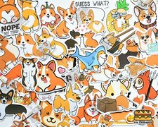 50 pcs 