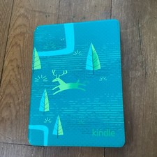 Amazon Kindle eBook Reader with Blue/Green Case for Kids picture