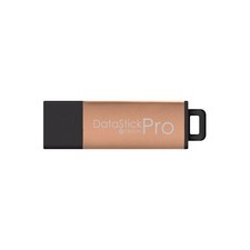 Centon Electronics DataStick Pro USB 2.0 Flash GOLD. picture