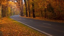 Landscape road fall asphalt fallen leaves Custom Gaming Mat Desk picture