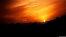 Landscape nature birds sunset low light Custom Gaming Mat Desk picture