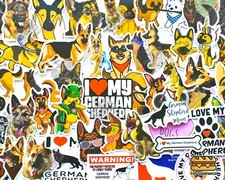 50 pcs 