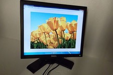 Dell P170S 1708FP LCD Monitor 17