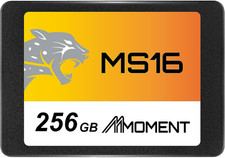 MS16 256GB 2.5 Inch SATA III 6 Gb/S Internal Solid State Drive SSD (Read up To picture
