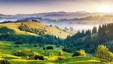 Landscape forest grass mountains mist daylight nature Custom Gaming Mat Desk picture