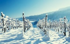 Landscape winter snow cold Custom Gaming Mat Desk picture