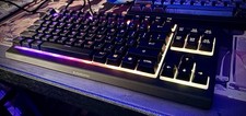 TESTED - SteelSeries: Apex 3 TKL - RGB Wired Silent Gaming Keyboard - 64831 picture
