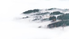 Landscape winter forest nature mist Custom Gaming Mat Desk picture
