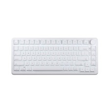 AIM1 Instant Rapid Trigger 0.01mm Gaming Keyboard English Layout 75% Size 8000Hz picture