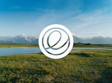 Elementary Linux OS 8 Bootable USB Flash Drive LIVE run or fresh install picture