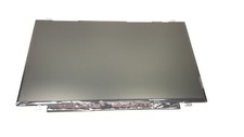 AU Optronics 14.0