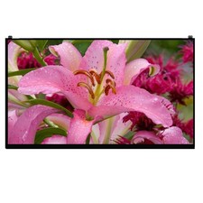 LP170WQ1-SPA1 LP170WQ1 (SP)(A1) LED LCD Screen 17