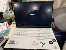 Alienware m17 R4 17.3